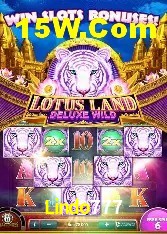 Programa VIP Lindo777